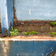 Image for article titled Animal Feces, Doors Falling Off, Huge Rust Holes: Here's Everything Wrong With David Tracy's $1500 Jeep FC